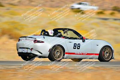 media/Nov-16-2024-Extreme Speed (Sat) [[6587d07cc4]]/Gold Group/Session 2 (Turns 3 and 5)/